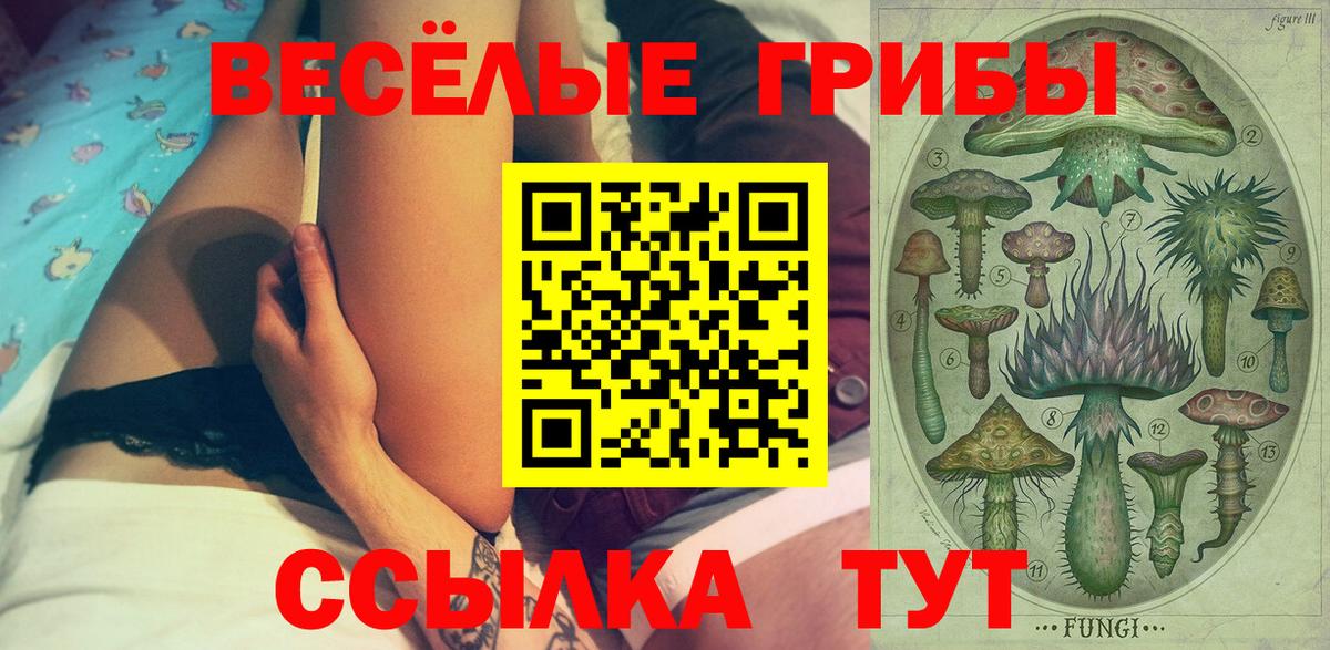 Псилоцибиновые грибы GOLDEN TEACHER  Вход с VPN  Карачаевск 